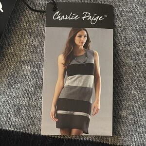 NWT Charlie Paige *Angora* Blend Sweater Dress
